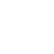 Downward Arrow Icon